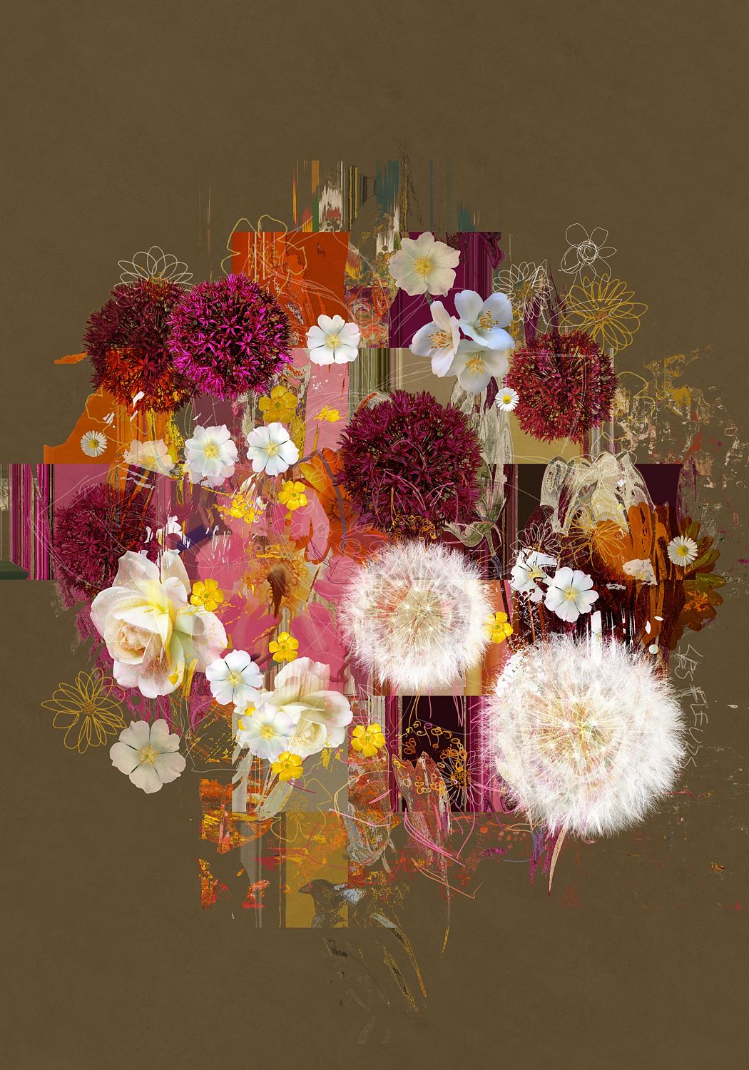 Floral Studies