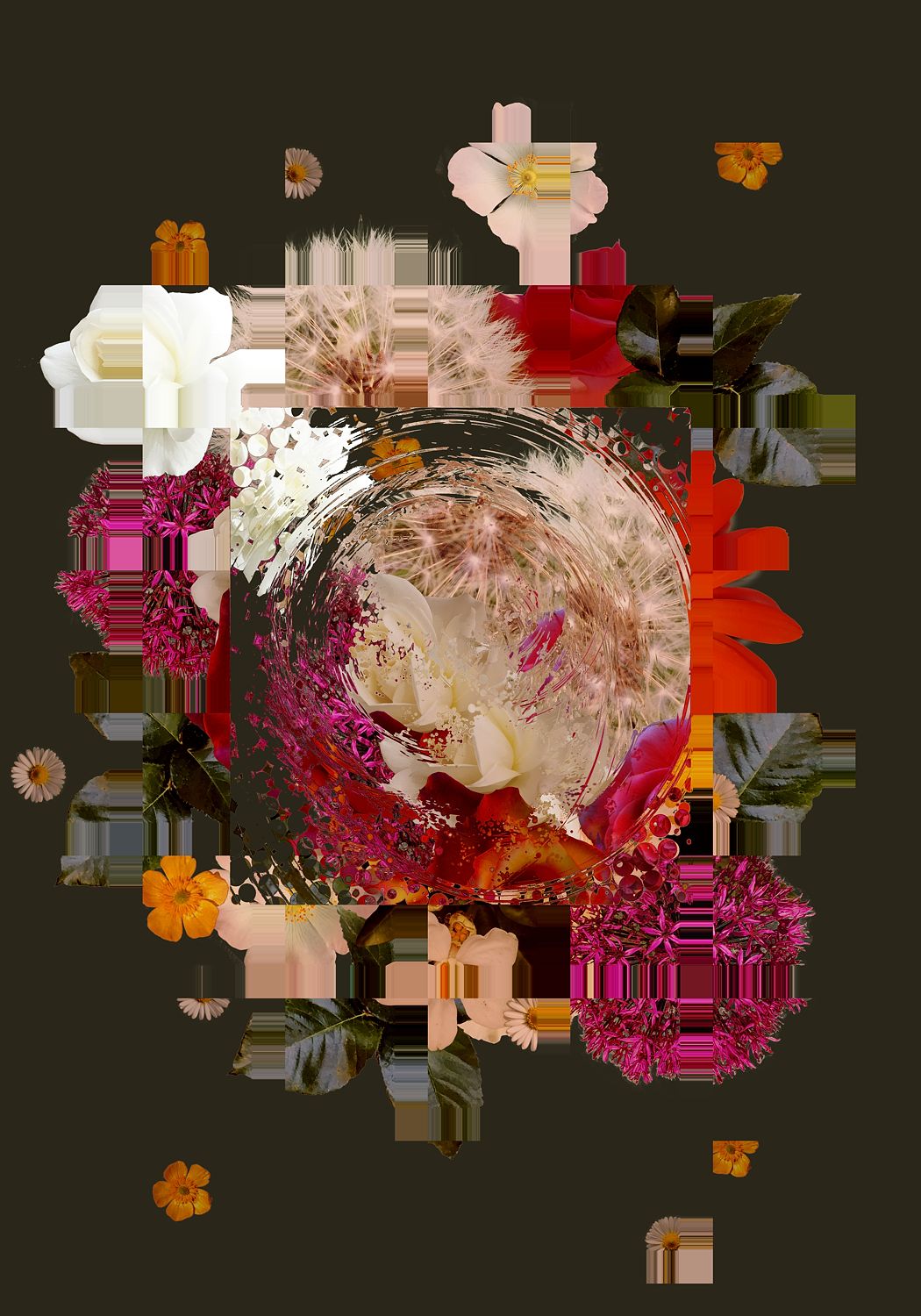 Arrangement 001