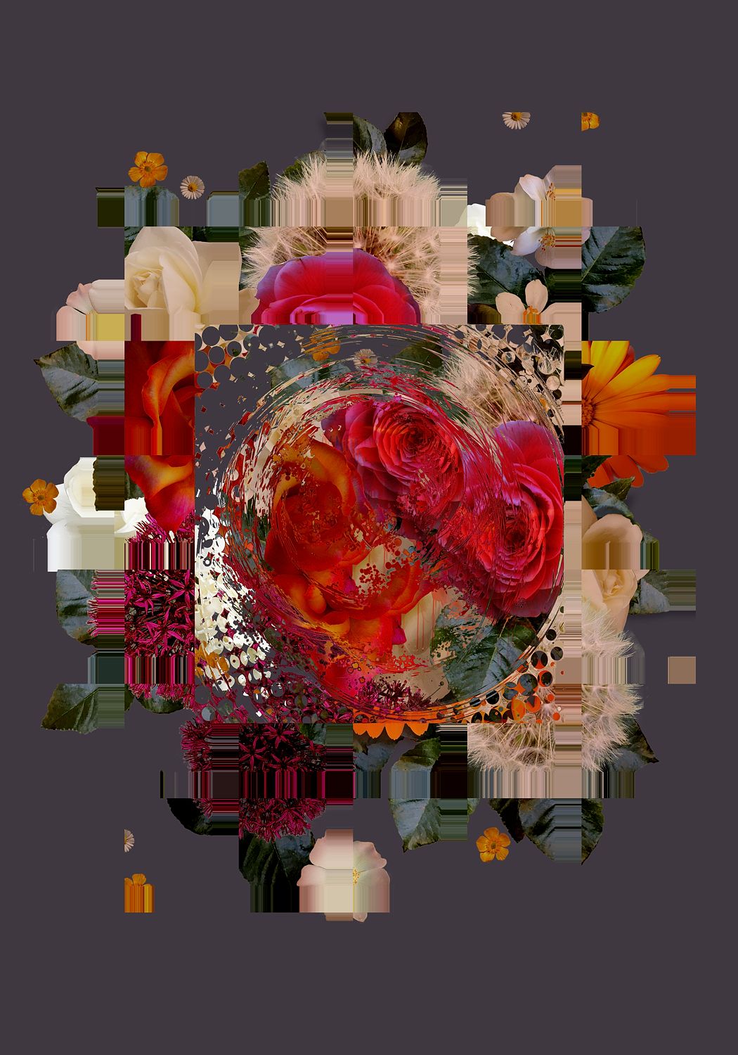 Arrangement 010