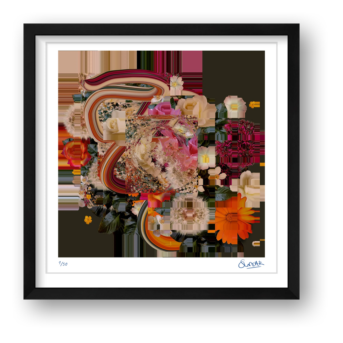 Flower Fragments SQ101 — framed