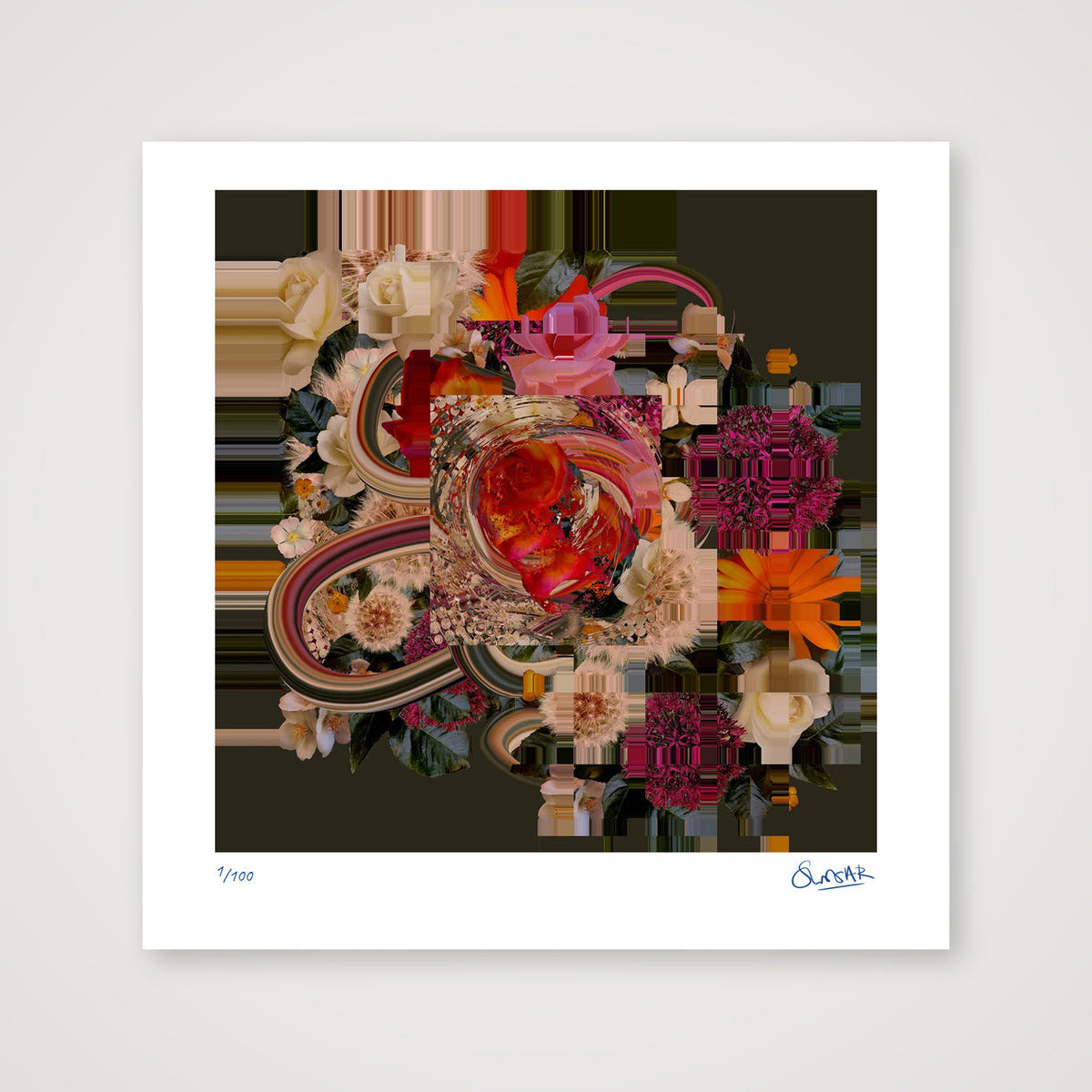Flower Fragments SQ110 — 30×30cm, 12×12" Print only