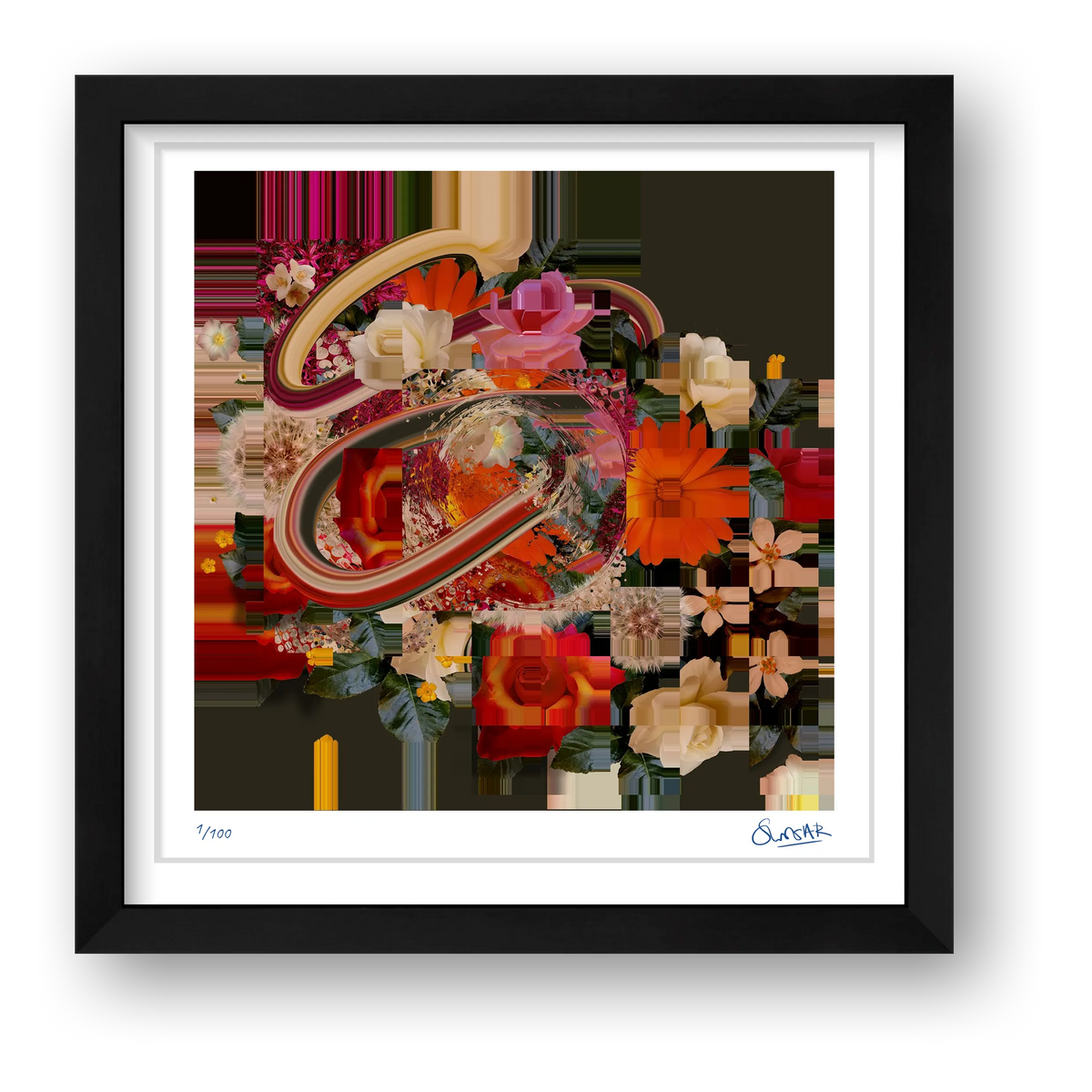 Flower Fragments SQ011 — framed