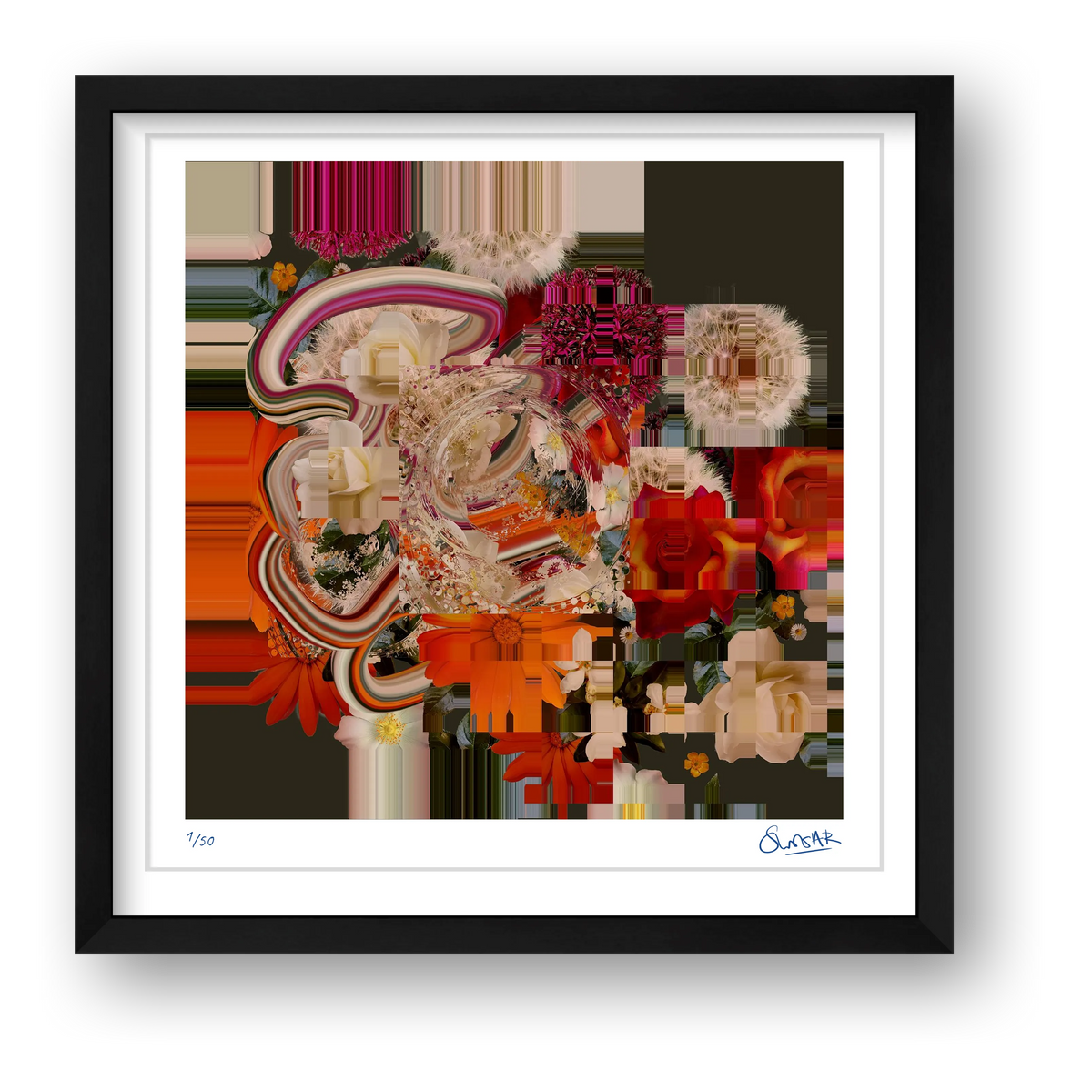 Flower Fragments SQ100 — framed