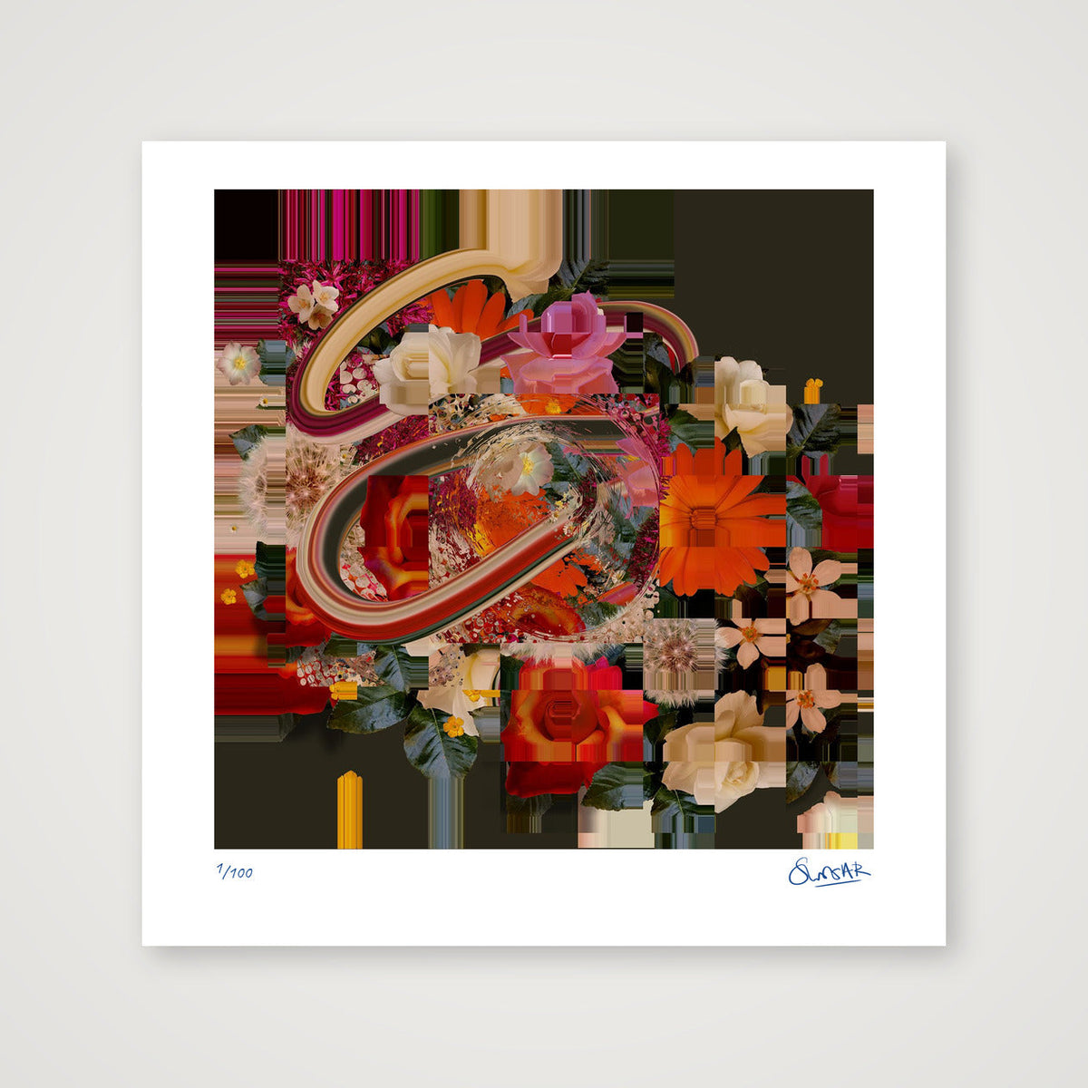 Flower Fragments SQ011 — 30×30cm, 12×12" Print only