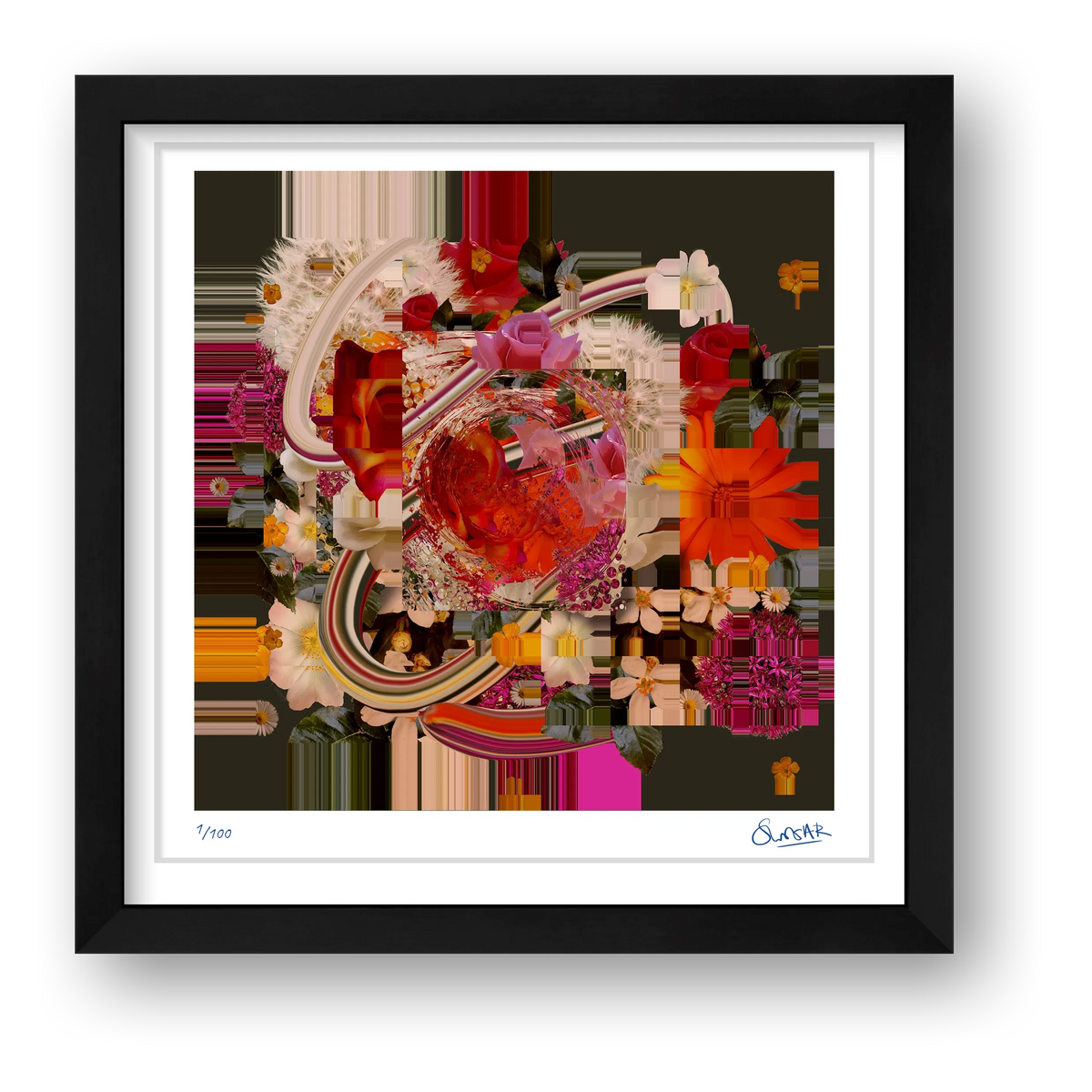 Flower Fragments SQ001 — framed