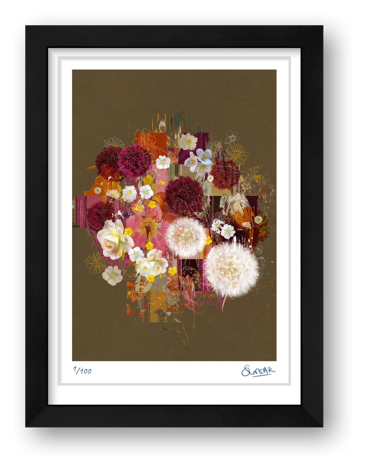 Floral Studies — framed